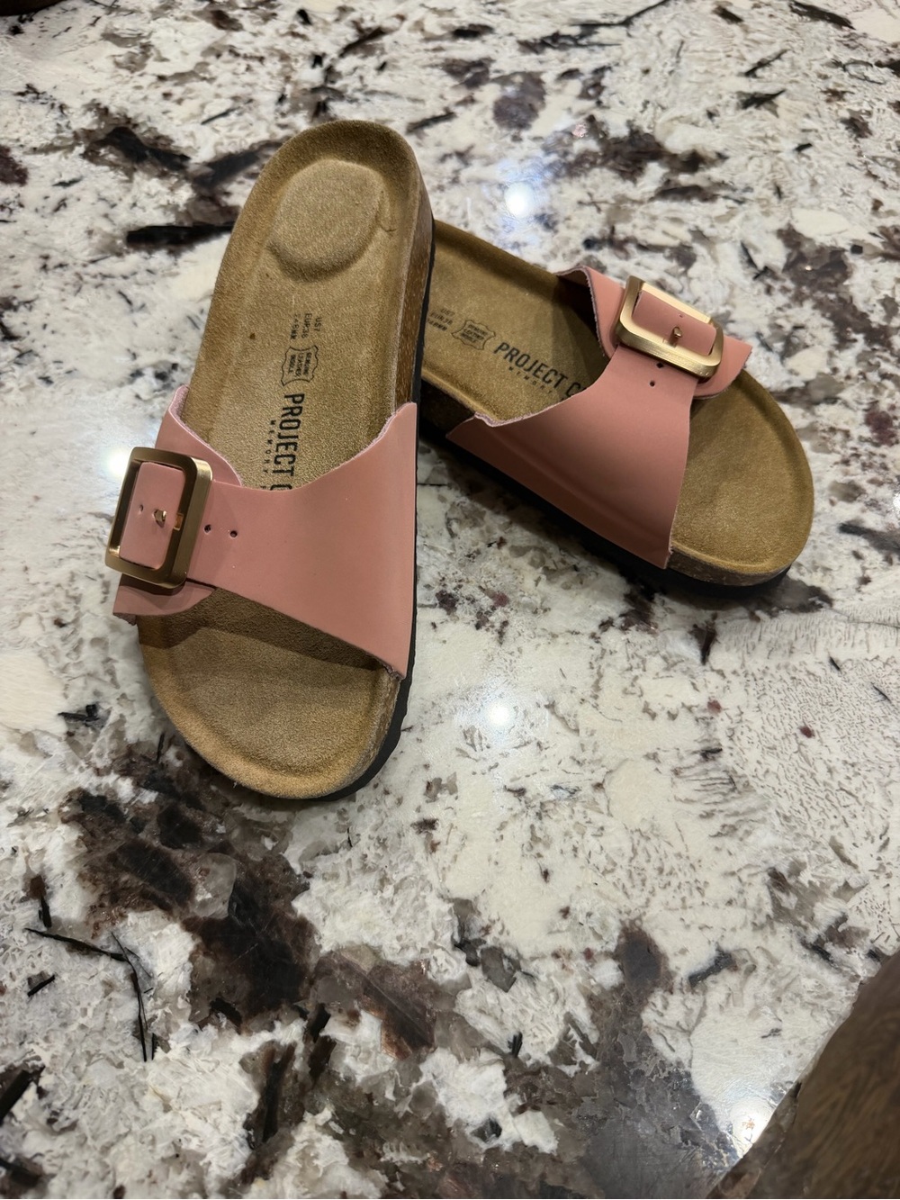 NEW! Project Cloud Blush Pink Slide Mules with Gold Buckle